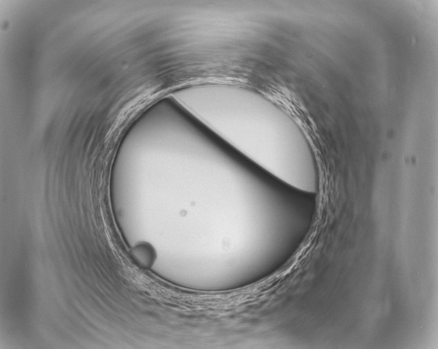 X0000086890001200704161018