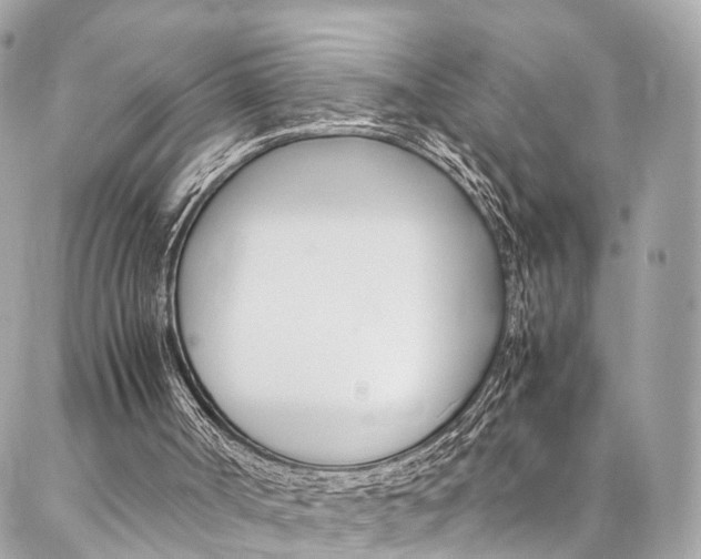 X0000086890002200704161018