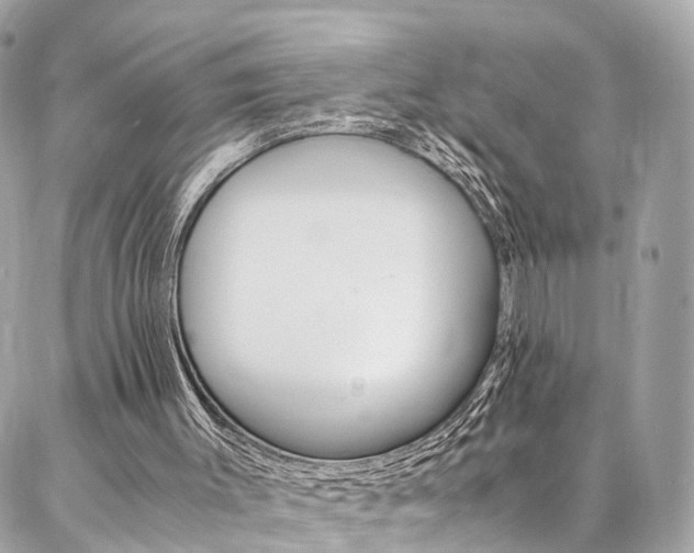 X0000086890003200704161018