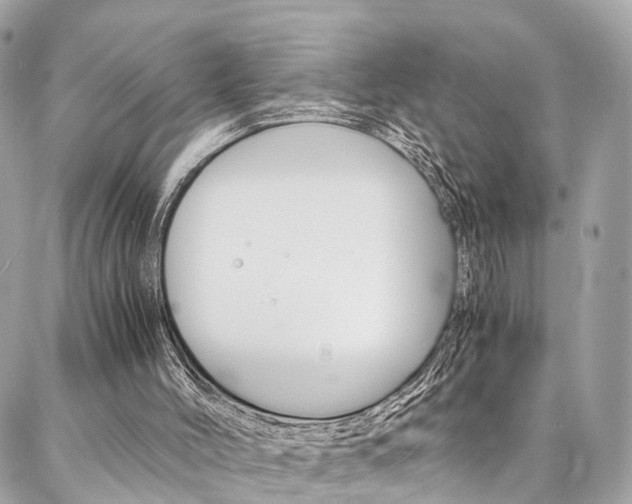 X0000086890004200704161018