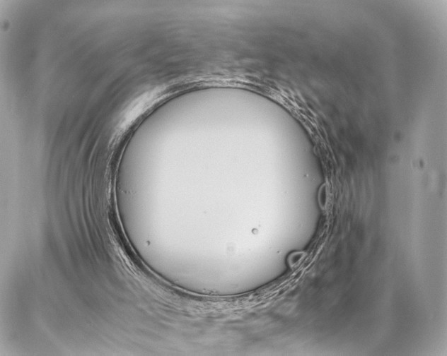 X0000086890005200704161018