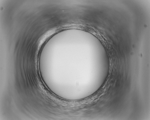 X0000086890006200704161017