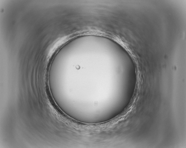 X0000086890007200704161017