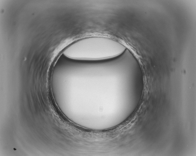 X0000086890008200704161017