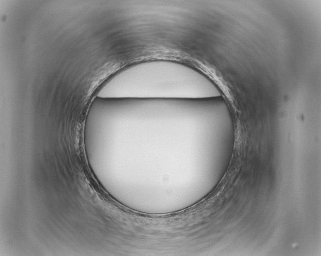 X0000086890010200704161017