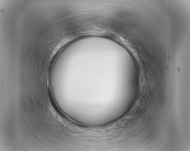 X0000086890011200704161017