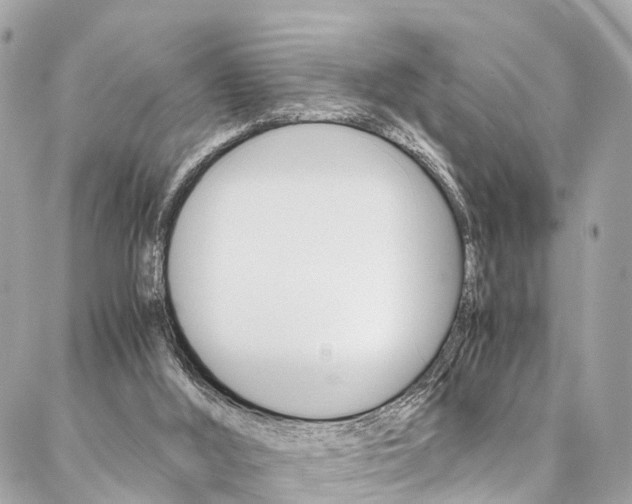 X0000086890012200704161017