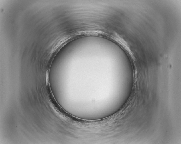 X0000086890013200704161017