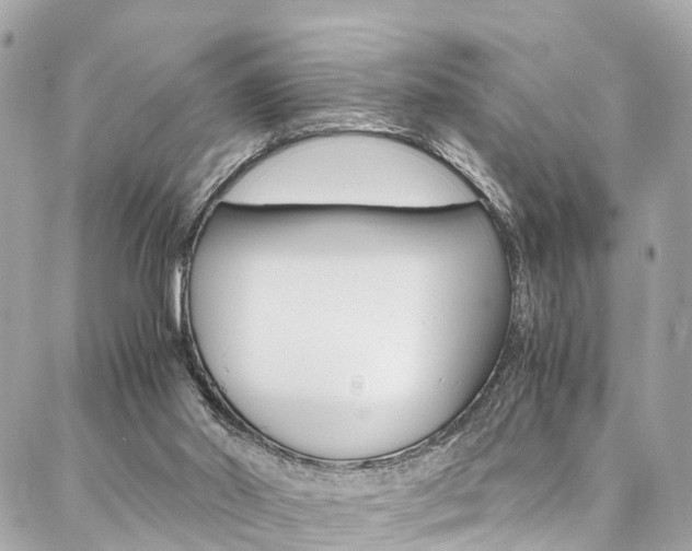 X0000086890014200704161017