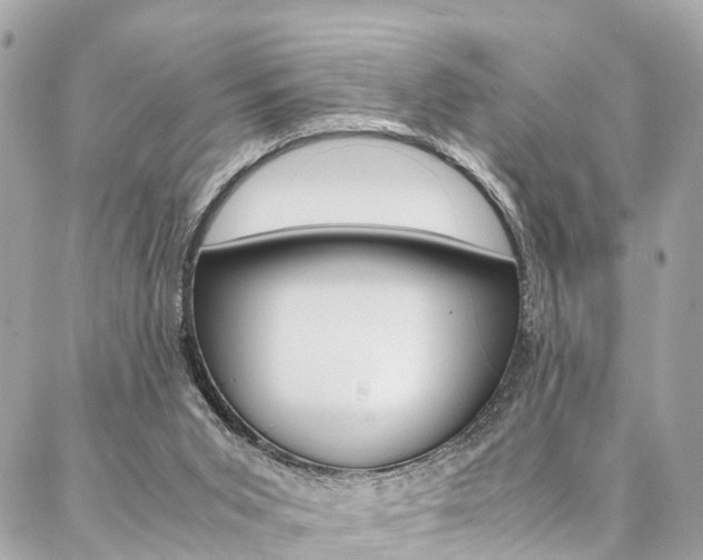 X0000086890015200704161017