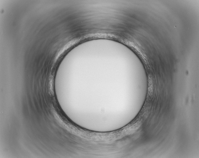 X0000086890016200704161017