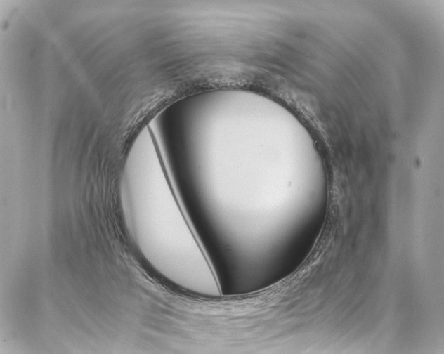 X0000086890017200704161017