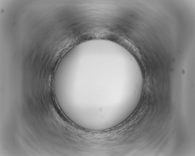 X0000086890018200704161017