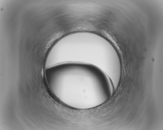 X0000086890019200704161017