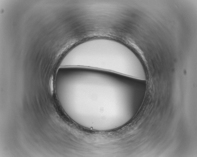 X0000086890020200704161017