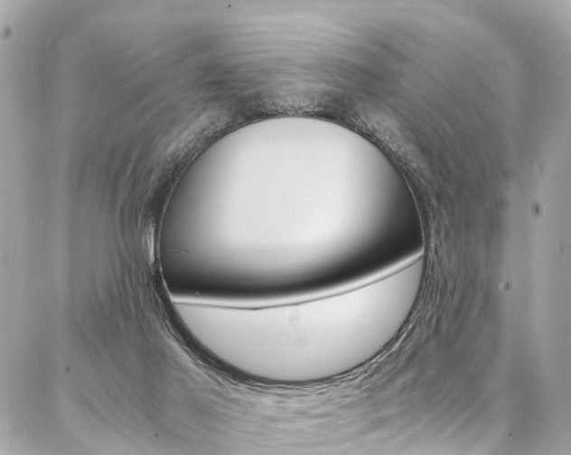 X0000086890021200704161017