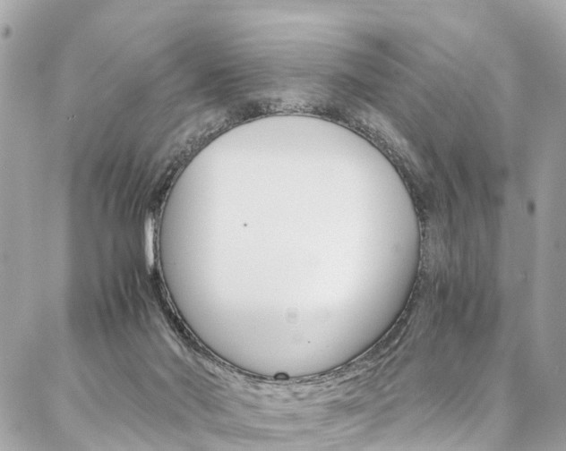 X0000086890022200704161017