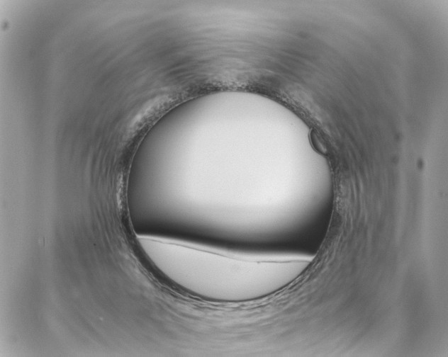 X0000086890023200704161017