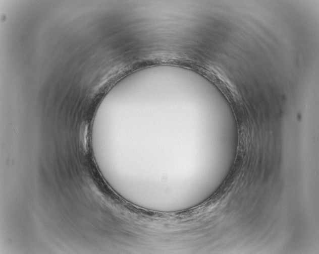 X0000086890024200704161017