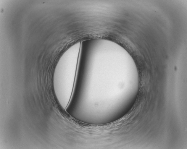 X0000086890025200704161017