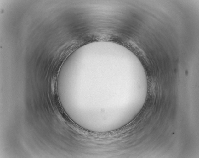 X0000086890026200704161017