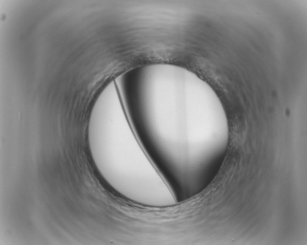 X0000086890027200704161017