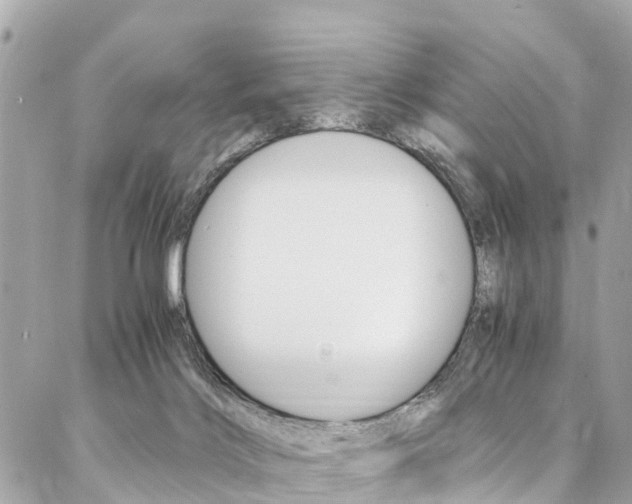 X0000086890028200704161017