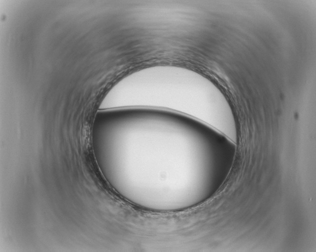 X0000086890029200704161017