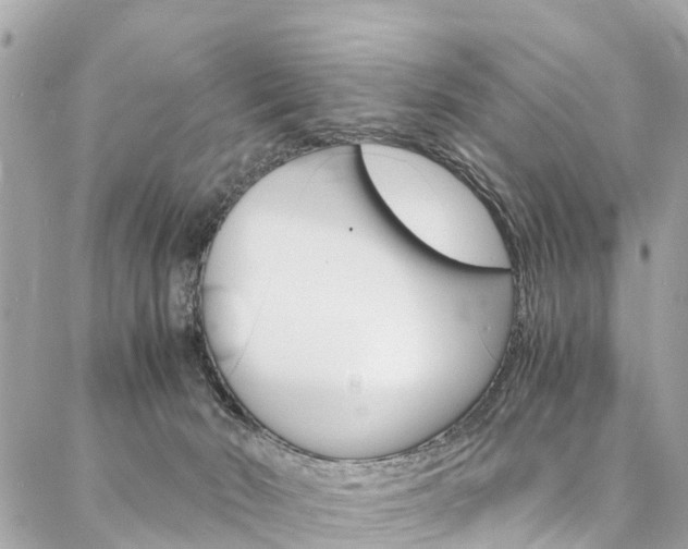 X0000086890030200704161017