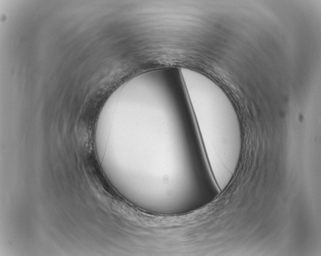 X0000086890031200704161017