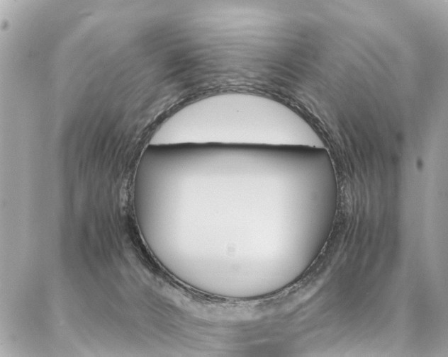 X0000086890032200704161017