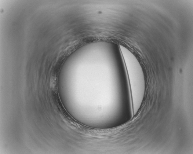 X0000086890033200704161017