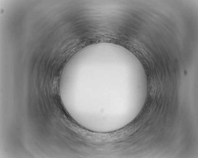 X0000086890034200704161017