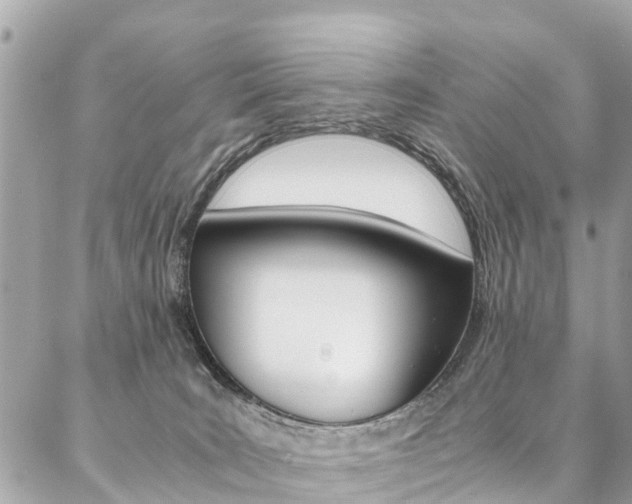 X0000086890035200704161017