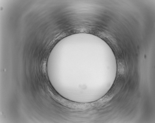 X0000086890036200704161017