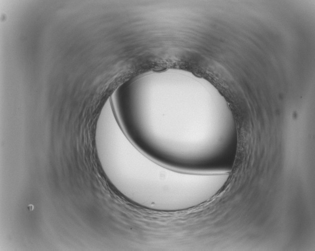 X0000086890037200704161017