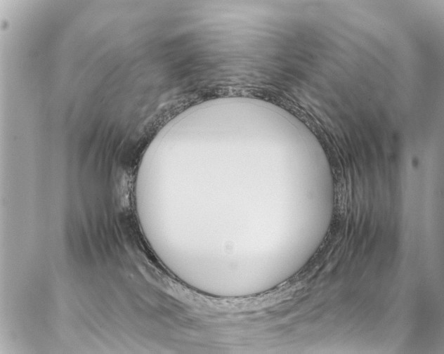 X0000086890038200704161017