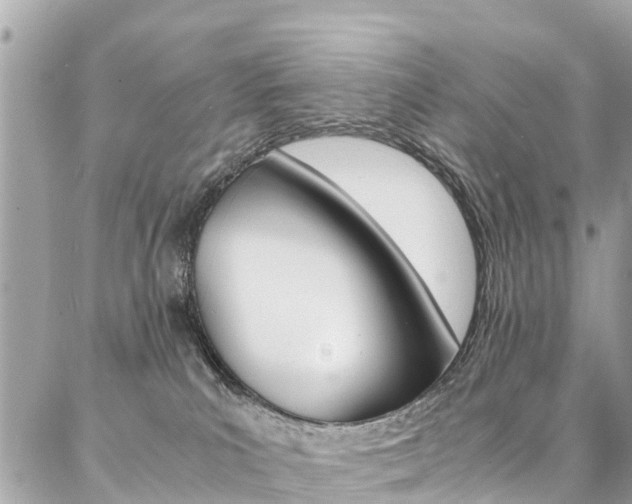 X0000086890039200704161017