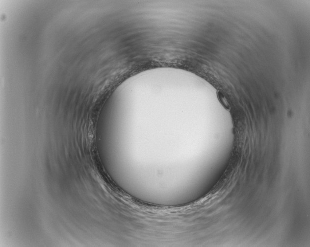 X0000086890040200704161017