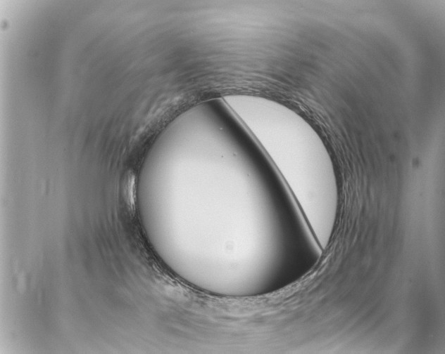 X0000086890041200704161017