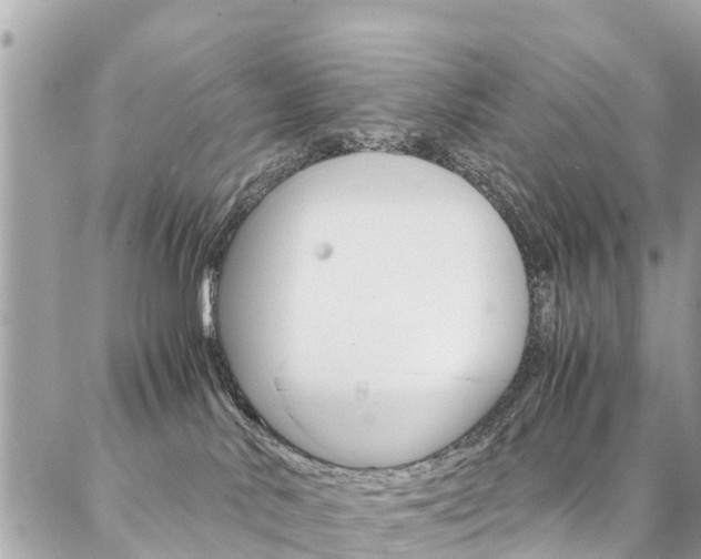 X0000086890042200704161017