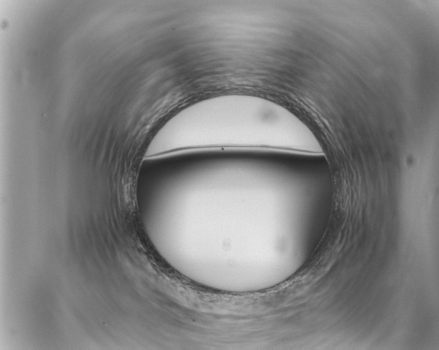 X0000086890044200704161017