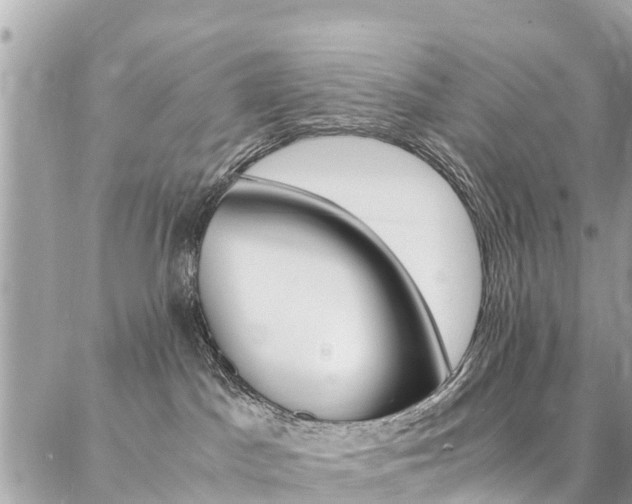 X0000086890045200704161017