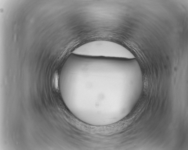 X0000086890046200704161017