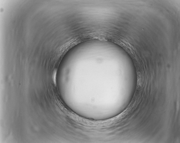 X0000086890047200704161017