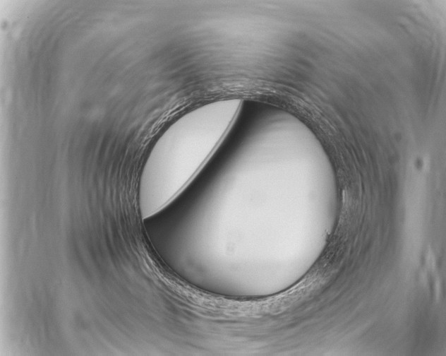 X0000086890048200704161017