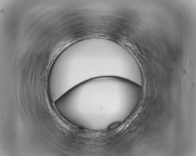 X0000086890049200704161016