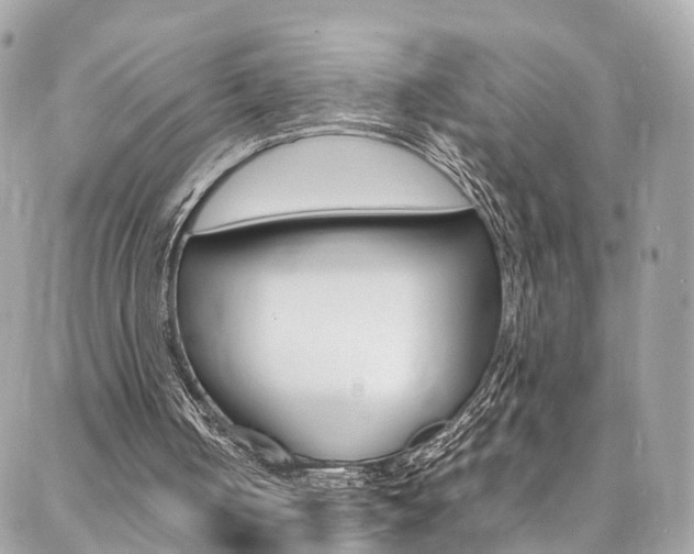 X0000086890050200704161016