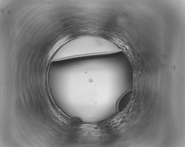 X0000086890051200704161016