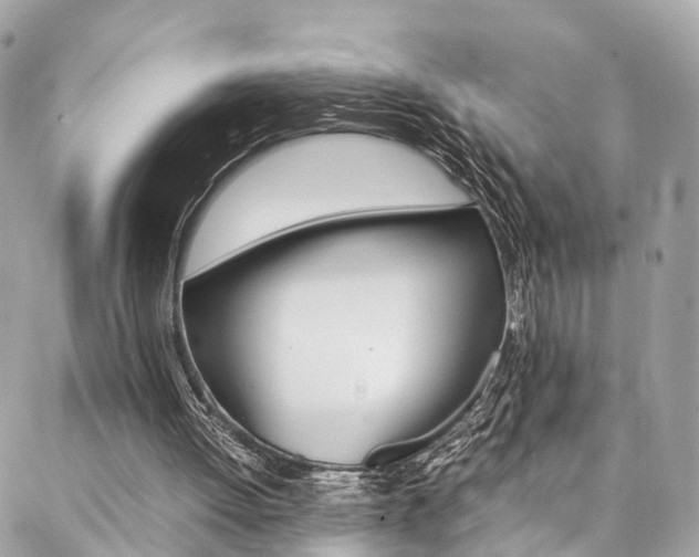 X0000086890052200704161016